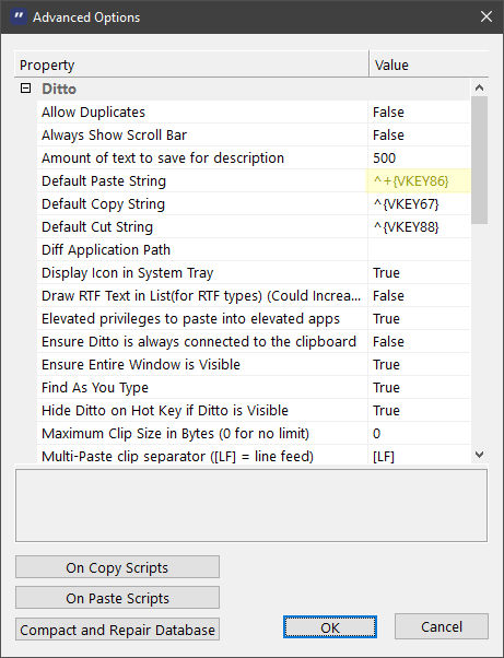 explain all options of ditto clipboard manager