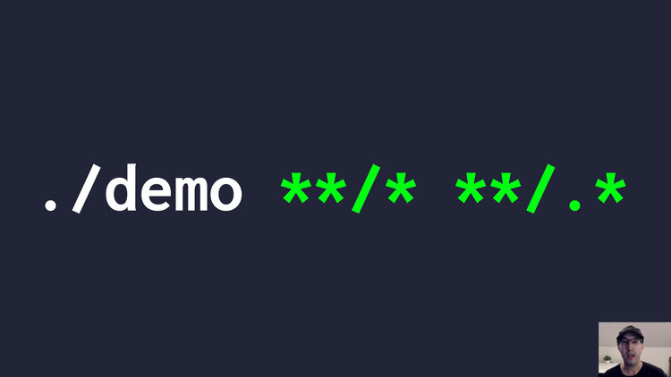 parse-wildcard-arguments-in-bash.jpg