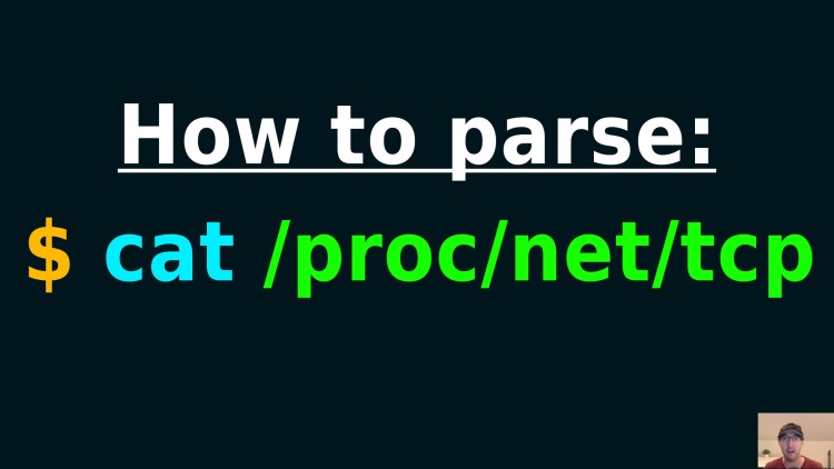 read-proc-net-tcp-if-ss-nc-netstat-telnet-and-curl-are-not-installed.jpg