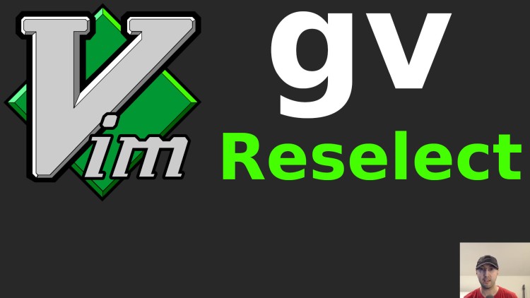 reselect-your-last-selection-in-vim-with-gv.jpg