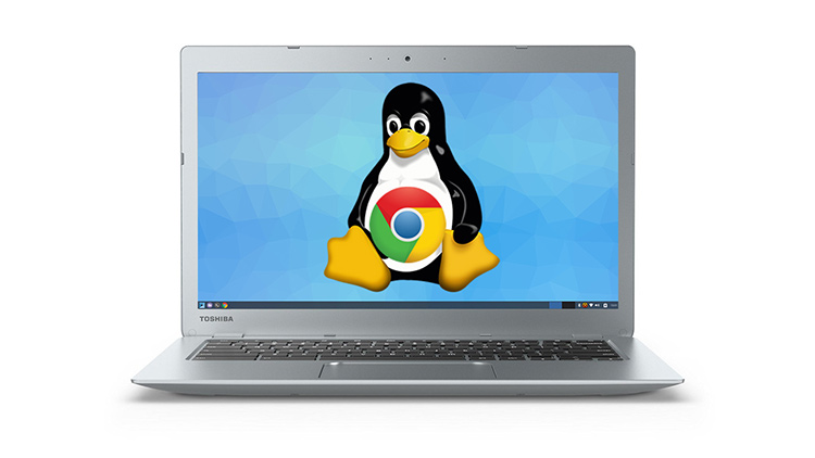 blog/cards/transform-a-toshiba-chromebook-cb35-into-a-linux-development-environment-with-galliumos.jpg