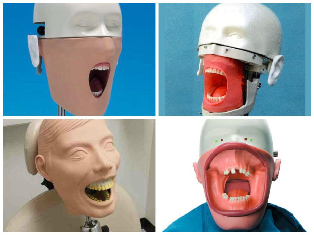 blog/dental-training-dummy.jpg