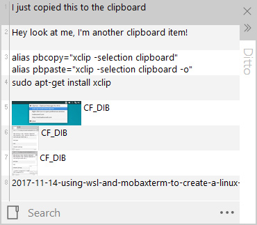 explain all options of ditto clipboard manager