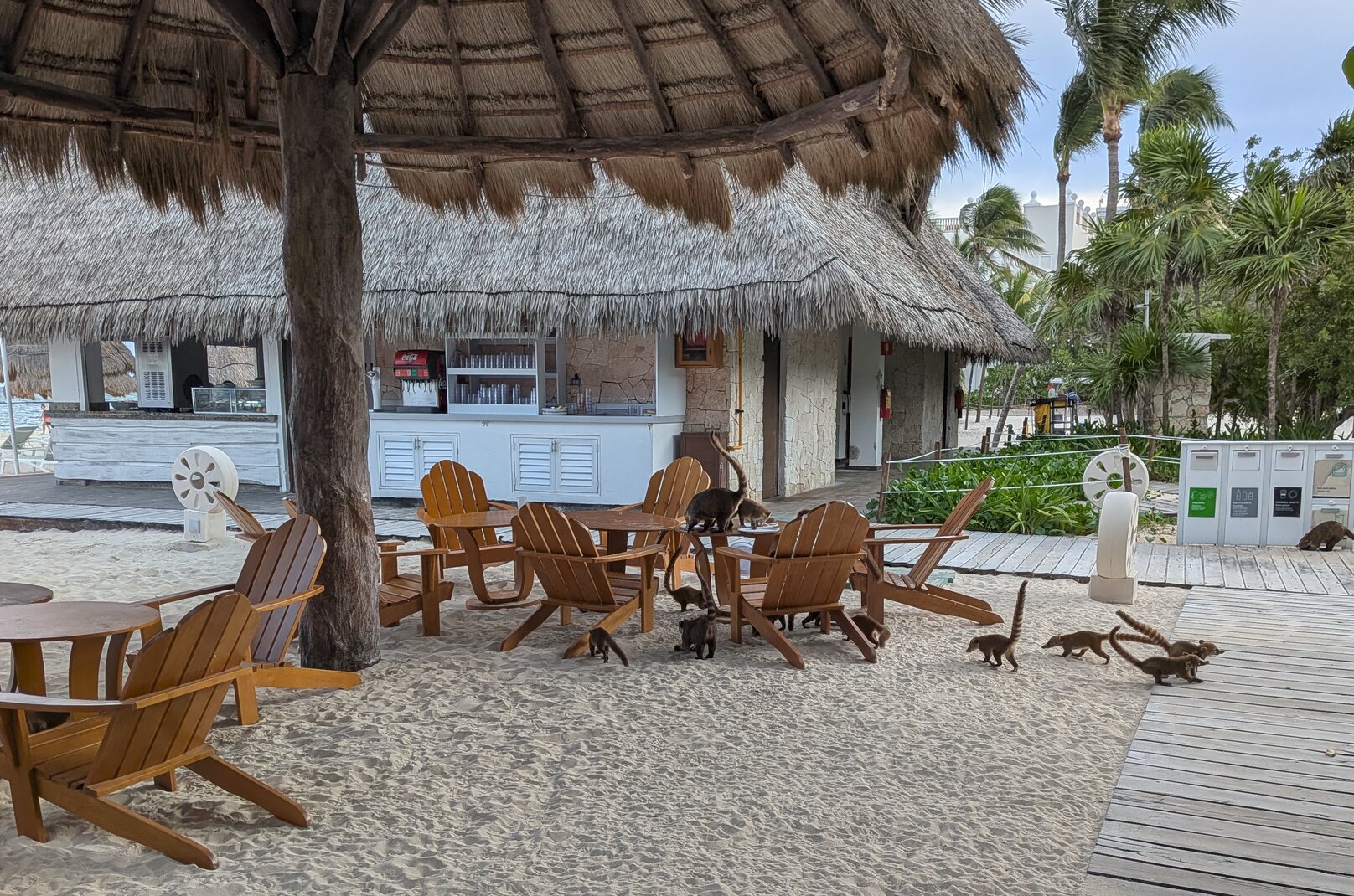 docker-captains-summit-mexico-beach.jpg
