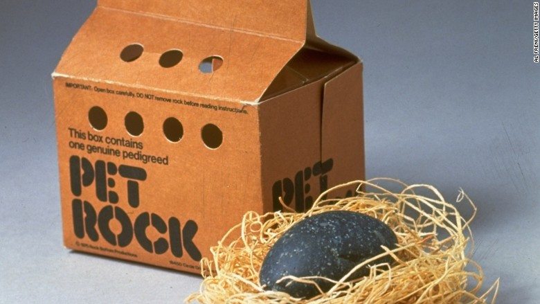 pet-rock.jpg